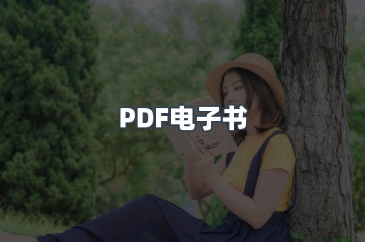 PDF电子书